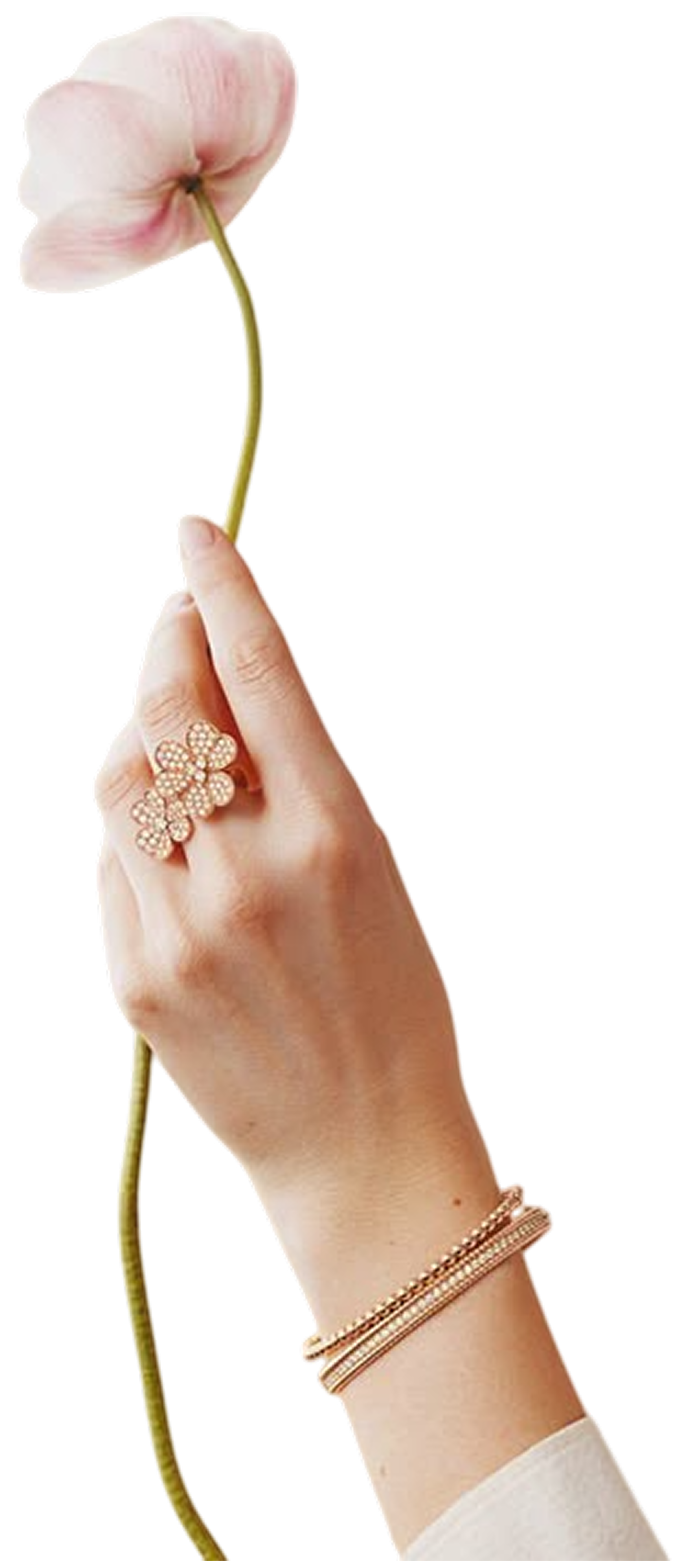 Hand with Ring